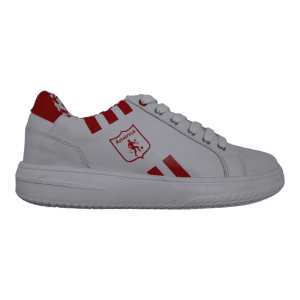 TPK AMÉRICA Diseño 4